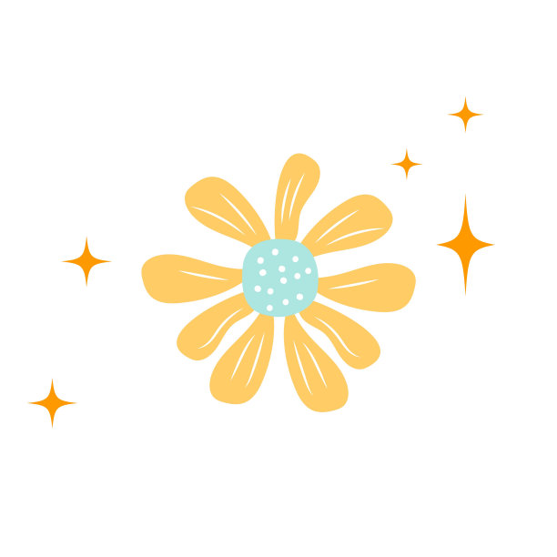 花头,甘菊花,鲜花盛开