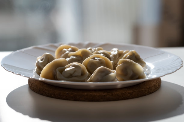 potsticker