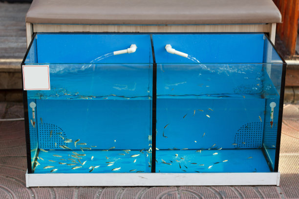aquarium