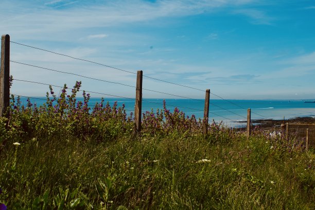 brighton