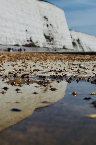 brighton