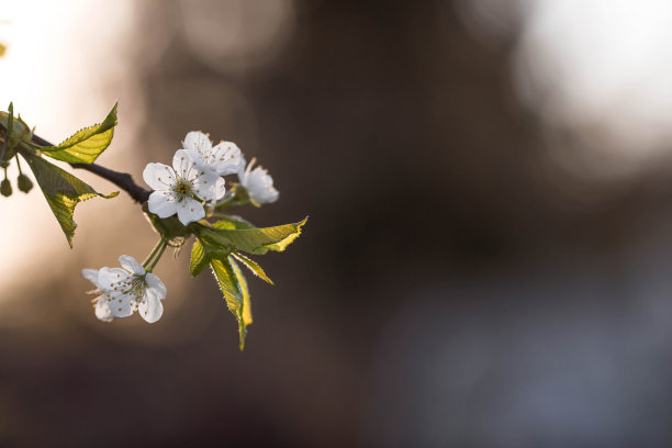 march