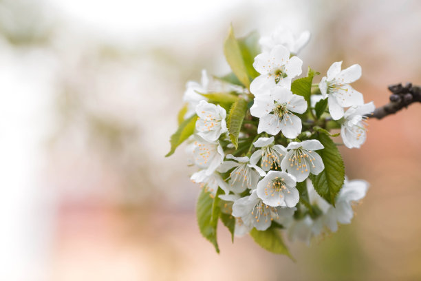 march