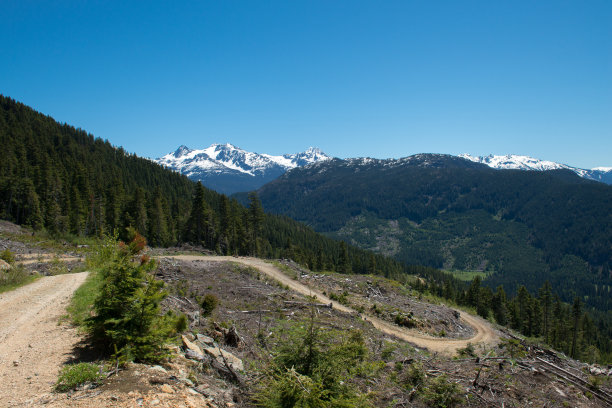 pemberton