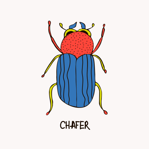 beetles