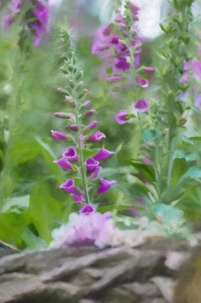 英国,自然美,油画