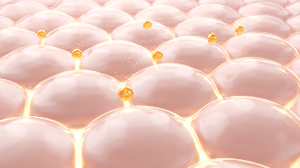 pores