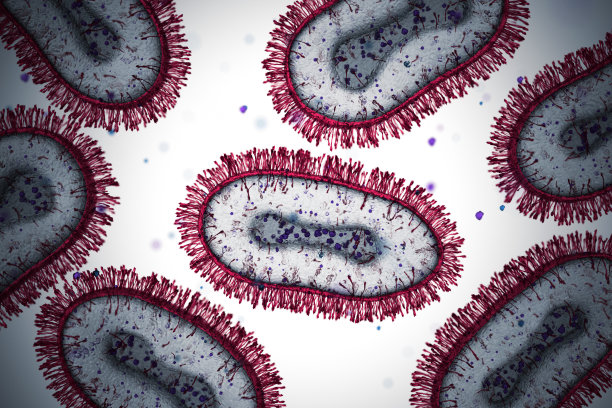 bacteria