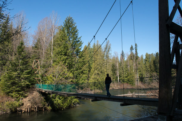 suspension