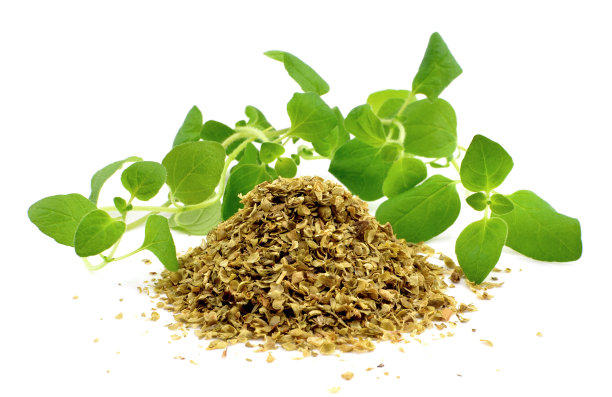 oregano