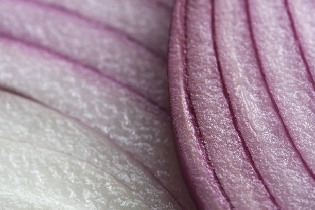 onions
