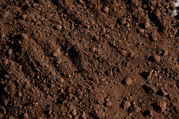 earth