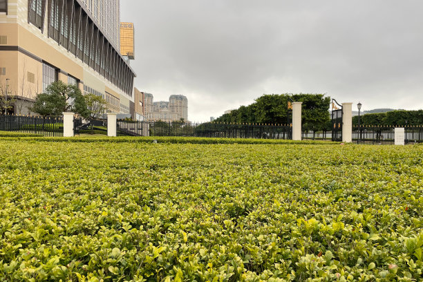 澳门建筑素材