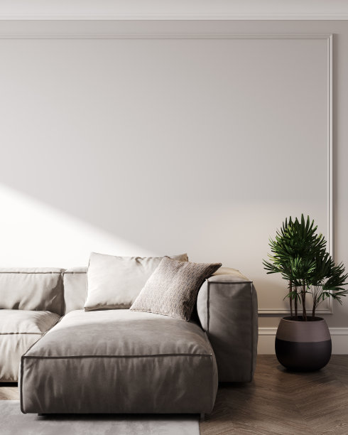 芭蕉叶沙发背景