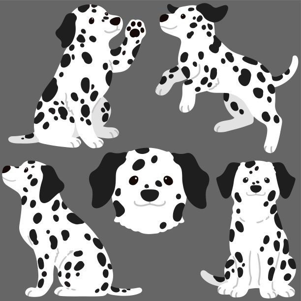 dalmatian