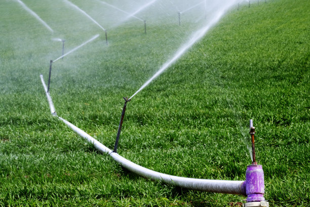 irrigation