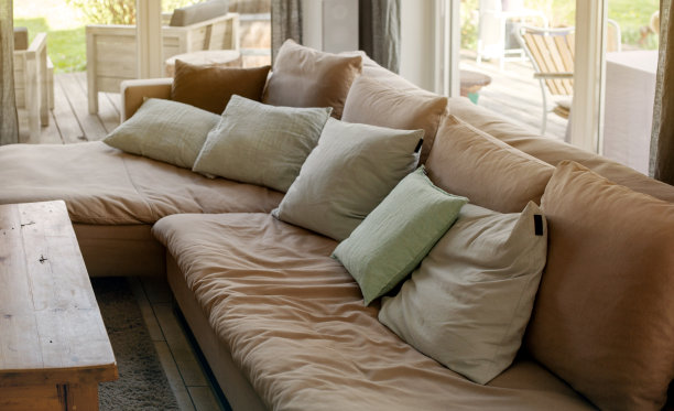 cushion