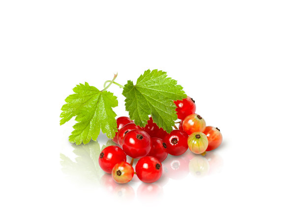 redcurrant