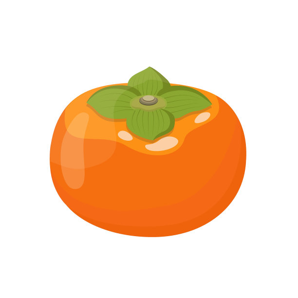 柿子矢量图