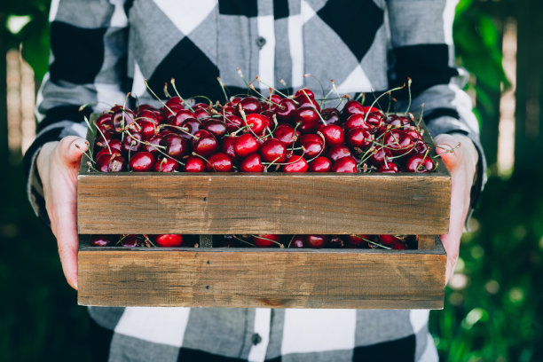cherries