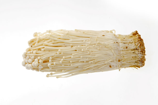 季节,水平画幅,彩色图片