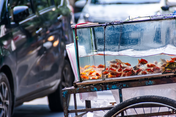 vendor
