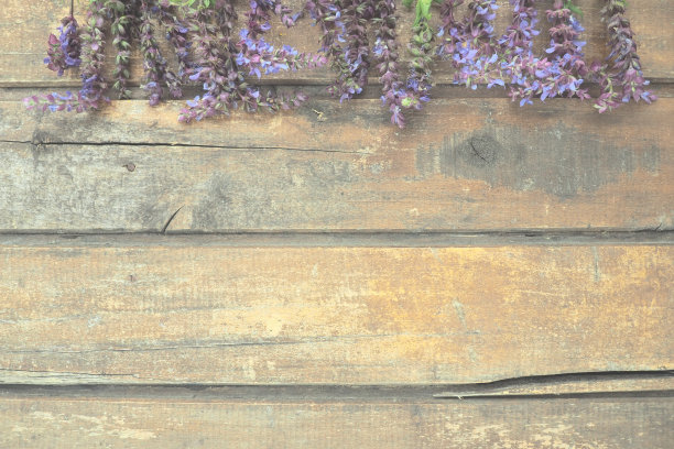 liatris