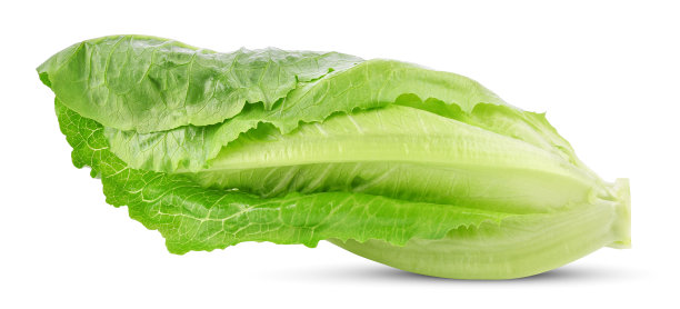 romaine