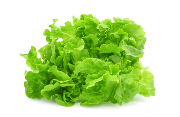 romaine