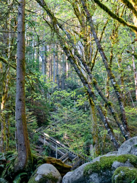 pemberton