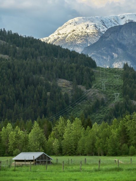 pemberton