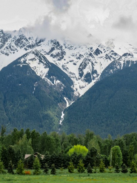 pemberton