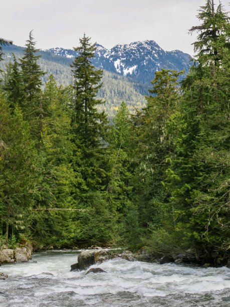 pemberton