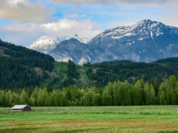 pemberton
