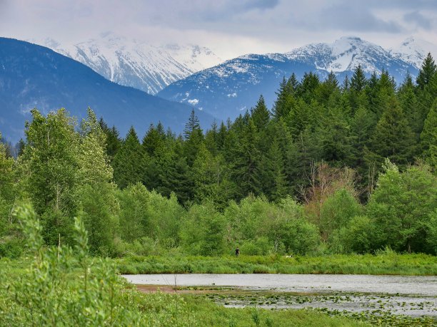 pemberton