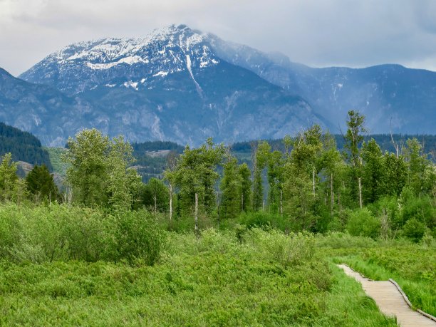pemberton