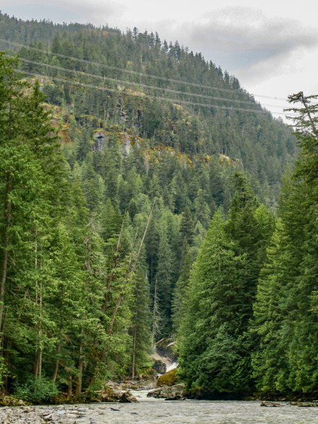 pemberton