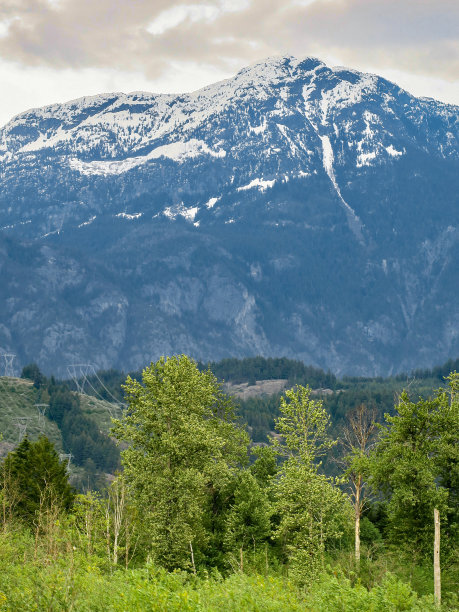 pemberton