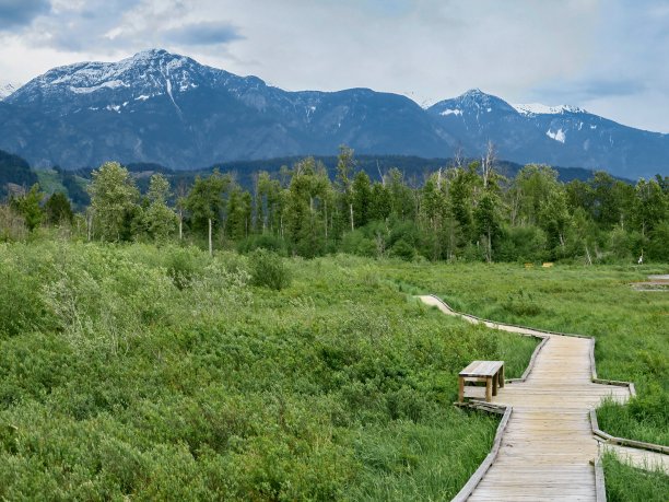 pemberton