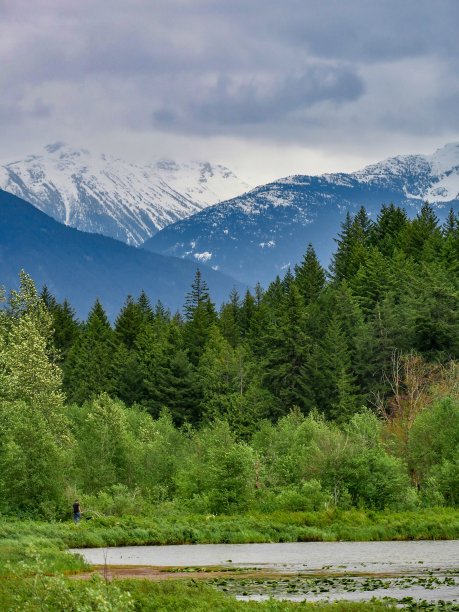 pemberton