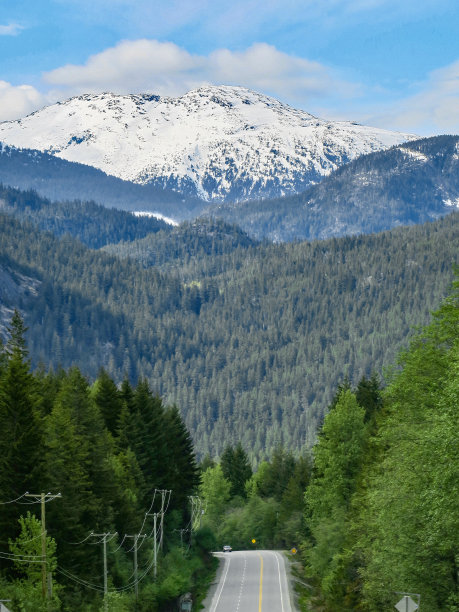 pemberton