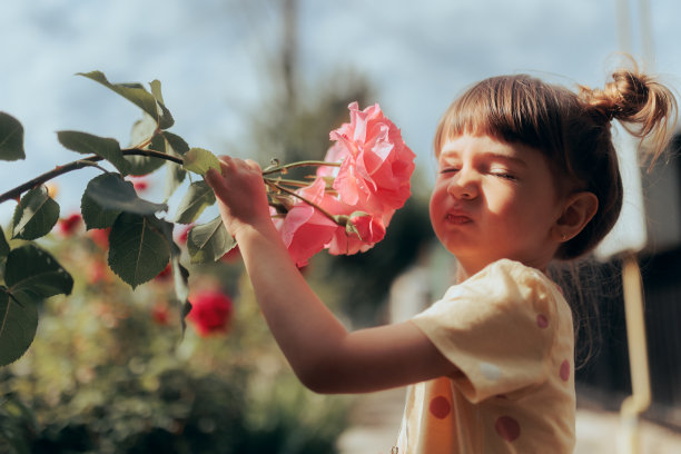 fragrance
