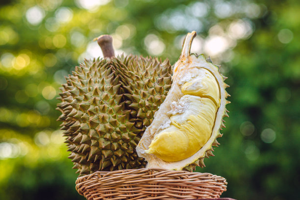 durian