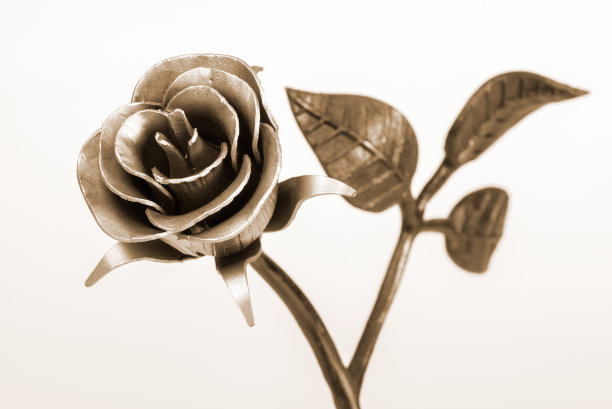 stamens