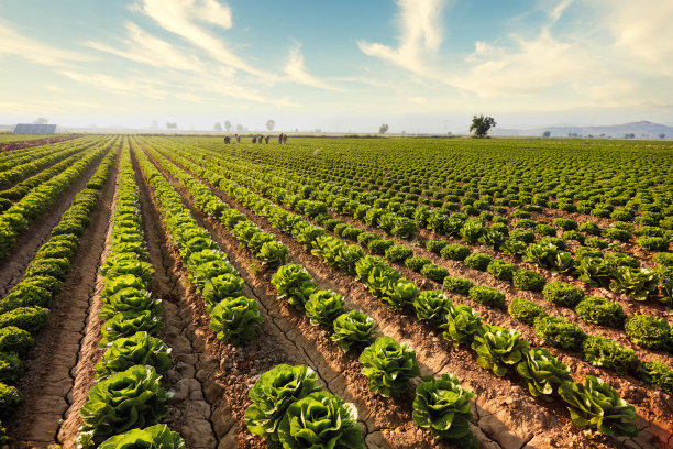 farming