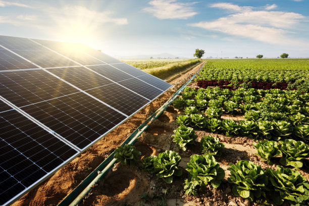 irrigation
