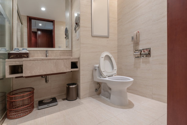 toilet
