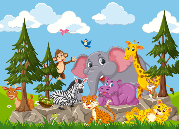 zoo