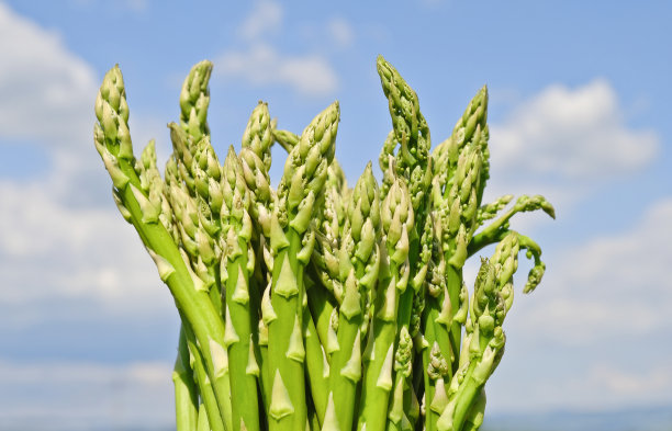 asparagus