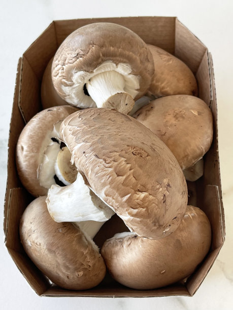 菌菇包装
